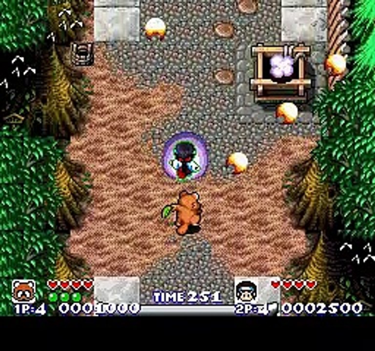 Pocky & Rocky online multiplayer - snes