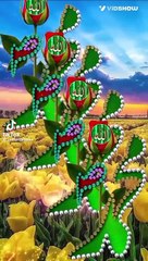 funny video اسلامی ویڈیو