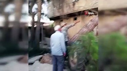 Fırtına antep fıstığı ağaçlarını kökünden söktü!