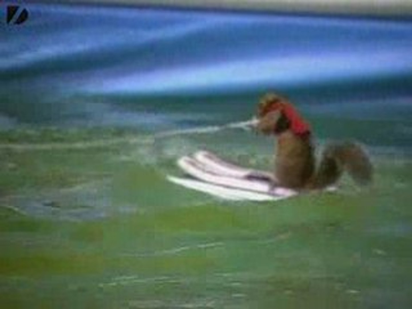 ⁣Water-Skiing Squirrel