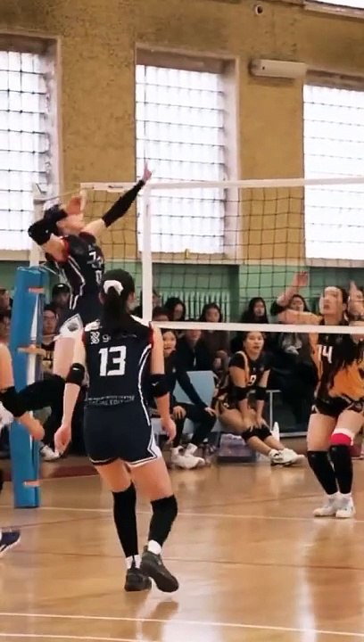 Volleyball