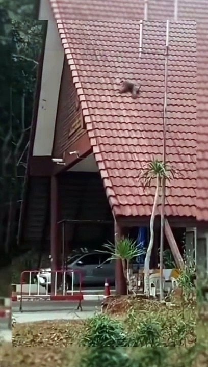 VID_20240620_143252_156