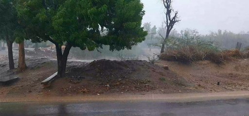 हवा के साथ हुई बारिश, खुशनुमा हुआ मौसम....देखें यह वीडियो