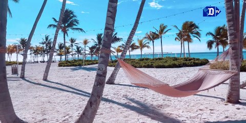 Punta Cana, un destino veraniego que apuesta por el ecoturismo