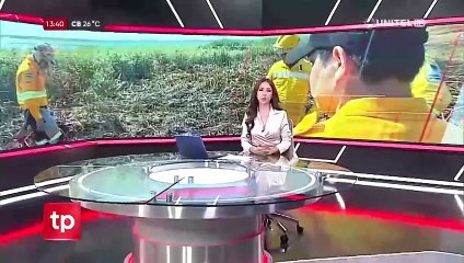 Video herunterladen: Dos incendios forestales arrasan con hectáreas de pastizales en Cochabamba