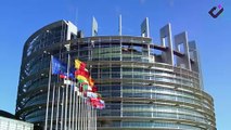 El Parlamento Europeo se reelige cada 5 años, en el único proceso de elecciones directas de la UE.