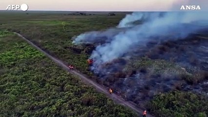 Incendi in Brasile, distrutti dal fuoco 500 mila ettari nel Pantanal