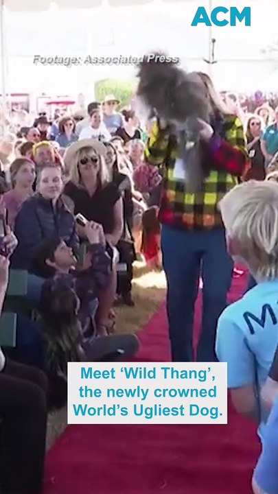 Wild Thang crowned world’s ugliest dog