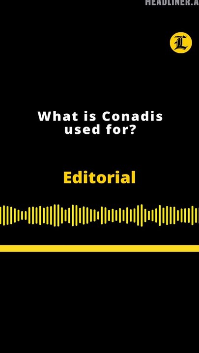 Editorial | What is Conadis used for?