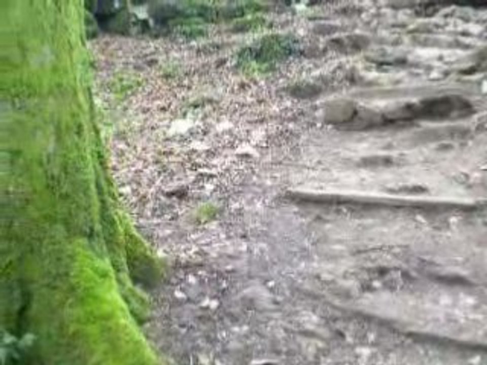 Jeux