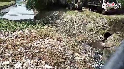 塑料垃圾利润微薄回收率低 国人微塑料污染引忧