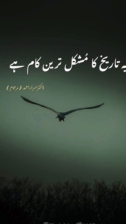 Dr Israr Islamic Reel (219)