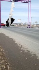 Audi R8 yellow color car VIP and luxury office cut with knife. what a surprise