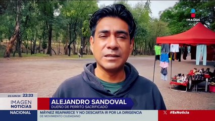Hallan otro perro muerto en el Bosque de Nativitas; suma 25 en lo que va del año