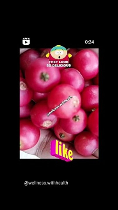 Singapore Cherry 