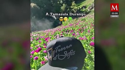 Revelación de operaciones del cártel de Sinaloa en TikTok