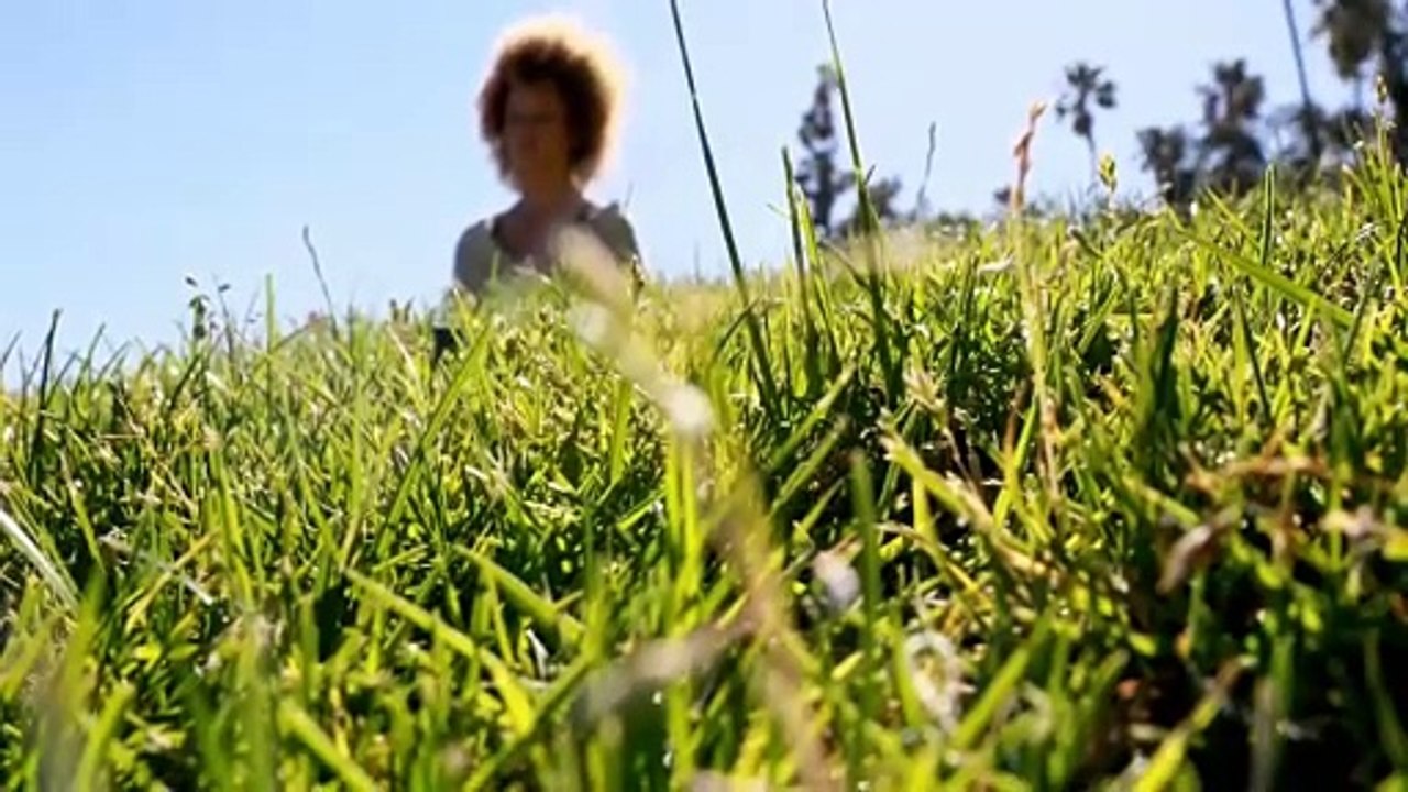 English Motivational Songs I Nature's beauty calls to my soul I Video Song I #musicvideo