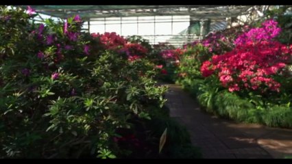 English Motivational Song I Get up and move I #musicvideo
