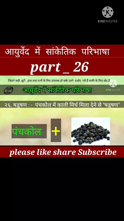 आयुर्वेद मे सांकेतिक परिभाषा part 26 | आयुर्वेद | घर का वैद्य | घरेलू नुस्खे | aayurveda