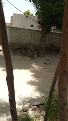 Sun light and hot weathers