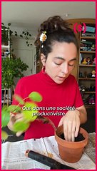 SIMONE - CHIT CHAT : Boutures et chirurgie