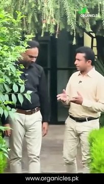 4085134c-065b-4602-99b3-52471577e62c