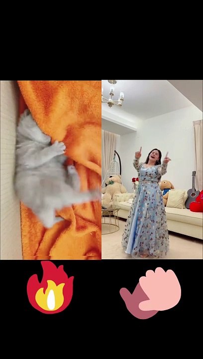 Cute kitten and girl dancing competition