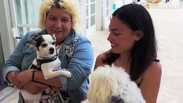 Gunther VI, il cane piu' ricco del mondo, e la sua compagna Cindy in Versilia