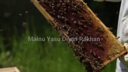 Maine Yasu Dian Rakhan Ittrah David Masihi Geet