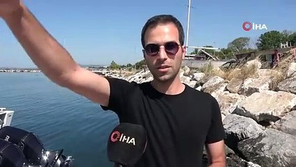 Marmara'da oltasına takılan zehirli balık canından ediyordu