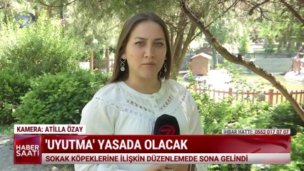 Kanal 7 Haber Saati - 20 Haziran 2024