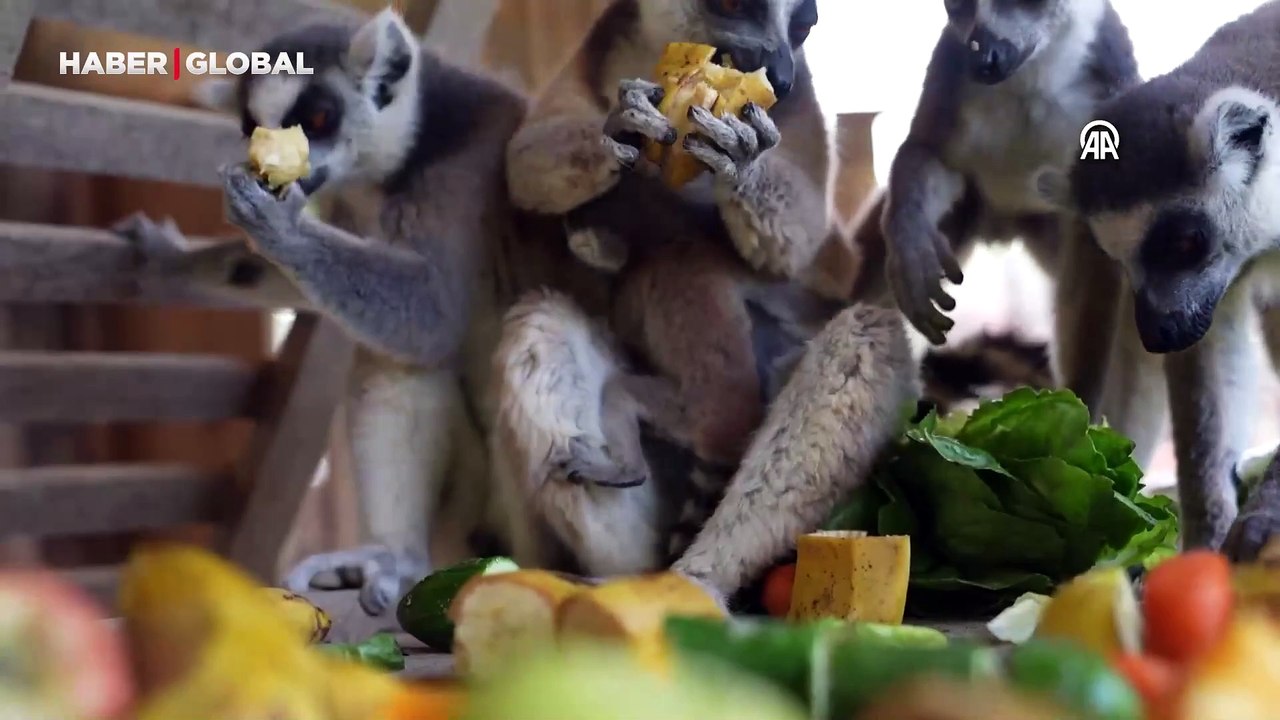 Tarsus Doğa Parkı'na "Deniz, Yıldız ve Toprak" geldi