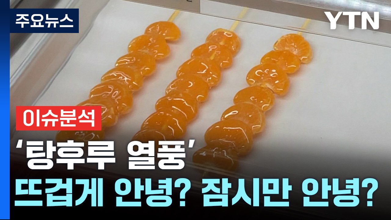 [경제PICK] '탕후루 열풍' 영원히 안녕? 잠시만 안녕? / YTN