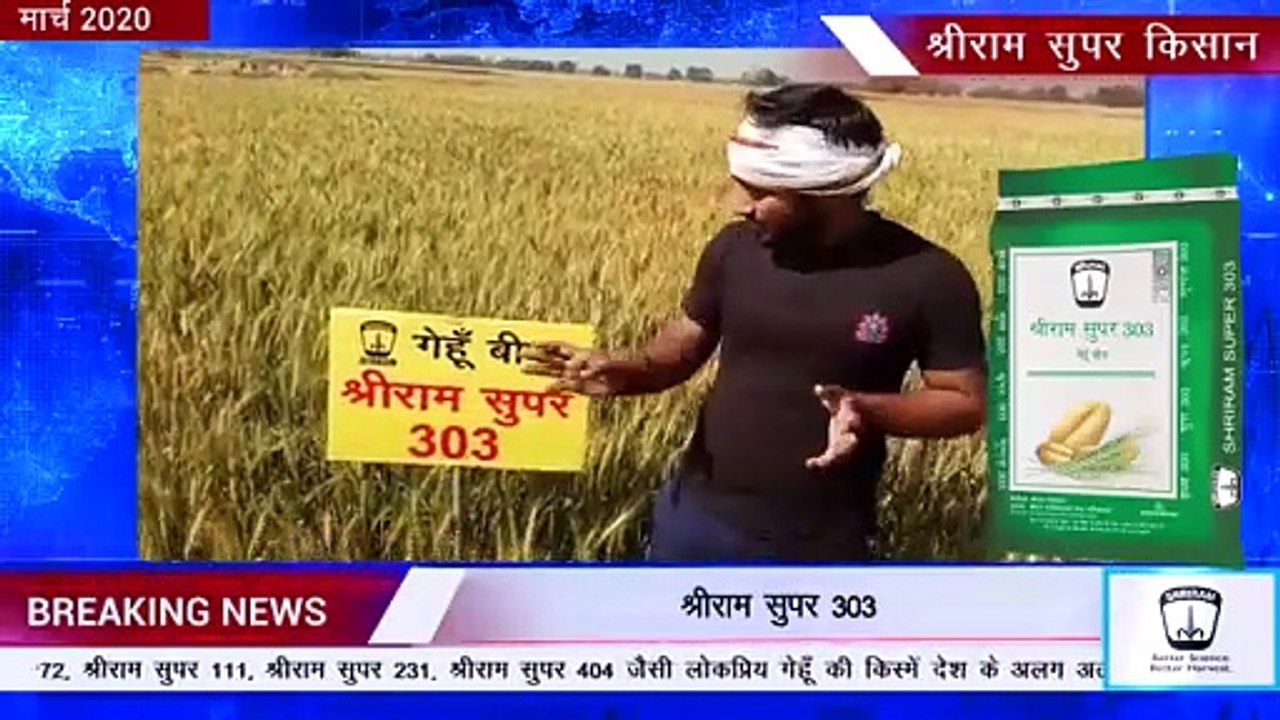 Shriram Super 303 Wheat: Uttar Pradesh Farmers' Top Pick