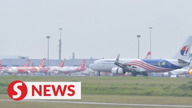 Govt welcomes airlines increasing fleet size as it will lead to competitive airfares