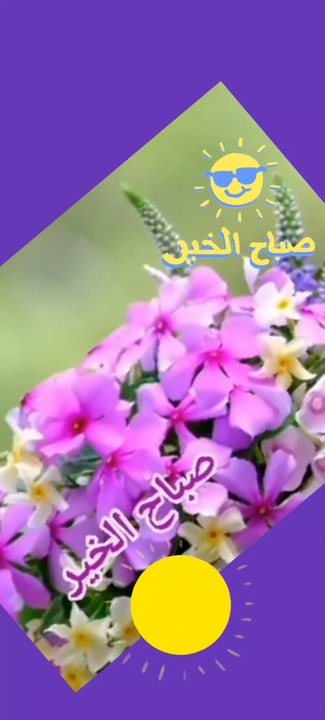 صباح الخير والسعادة والأمل بالله للجميع