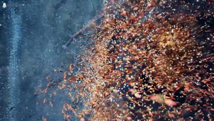 A Record of Mortal's Journey to Immortality Season 3 Episode 31 (107) Sub Indo