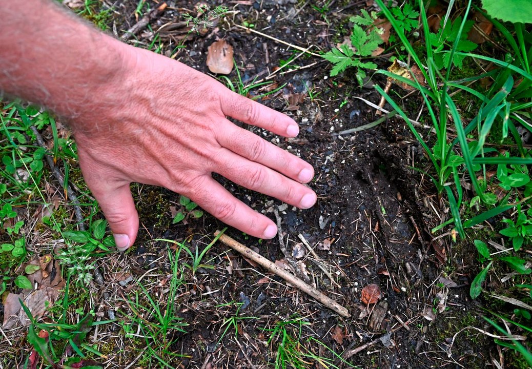 Nationalpark Kalkalpen zeigt, wie Renaturierung geht