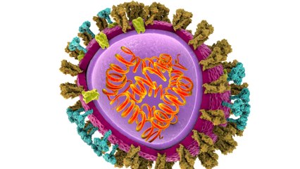 Health expert reveals bird flu could become the next pandemic with a '50% mortality rate'