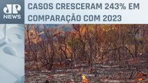 SP registra maior índice de incêndio em oito anos