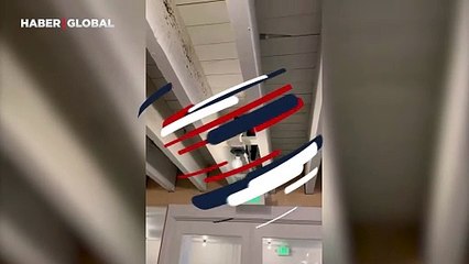 Örümcek adama özenen kediden alkışlanacak performans: Ağızları açık bıraktı