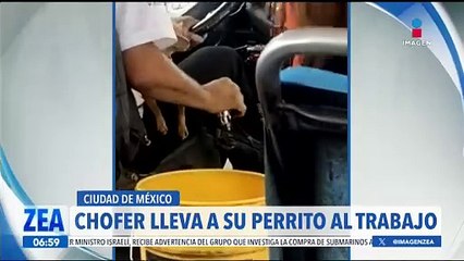VIDEO: Chofer de transporte público sale a trabajar con su perrita