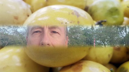 (288) Leben in Rondonia | AUSWANDERN nach BRASILIEN | BUNDESSTAATENSERIE