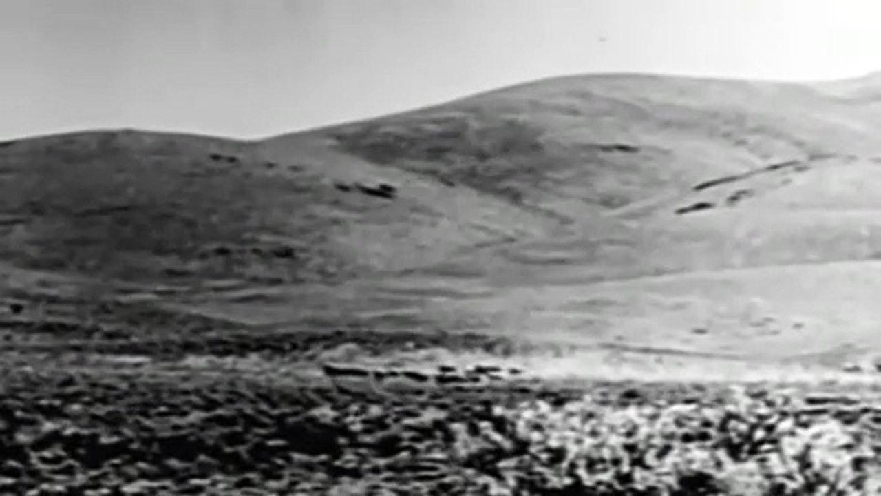 I Killed Wild Bill Hickok   Western (1956)     Johnny Carpenter