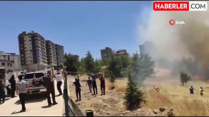 Şanlıurfa'da ormanlık alanlara giriş yasaklandı