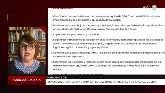 Diagnóstico participativo para la protección de periodistas y defensoras de DDHH: Celia del Palacio