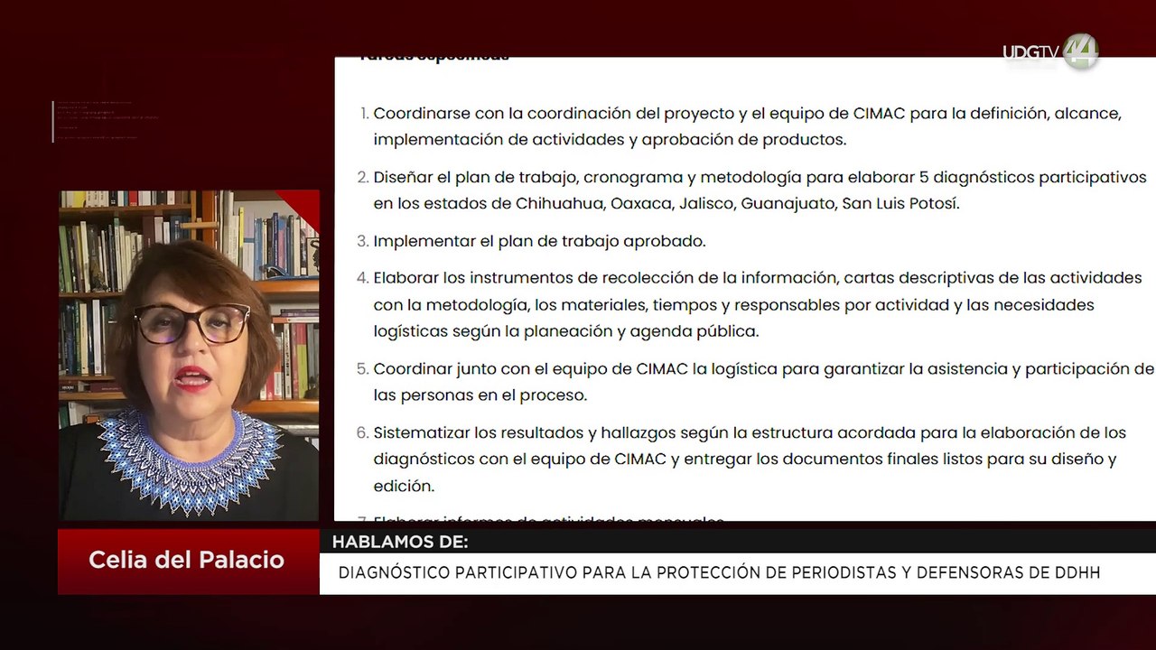 Diagnóstico participativo para la protección de periodistas y defensoras de DDHH: Celia del Palacio