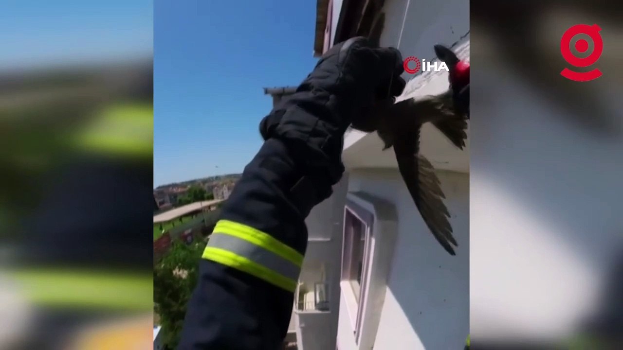 Çatıda ipe dolanan kuşu itfaiye ekipleri kurtardı