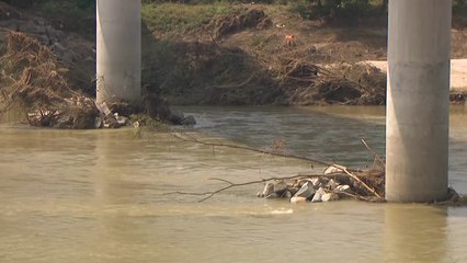 경찰 "채 상병 수사 마무리 단계...사실관계 거의 확인" / YTN