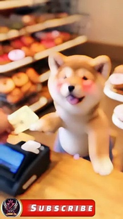 dog adventure, treat stealing, funny pets, pet training, canine antics/कुत्ते को इससे तंग आकर इसे चुराना पड़ा।#ai#short#trend#viral